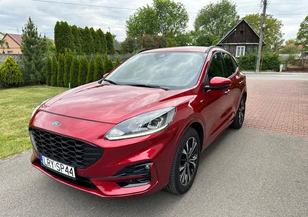 wilamowice Ford Kuga cena 101000 przebieg: 21700, rok produkcji 2020 z Wilamowice